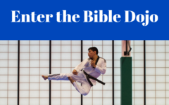 Enter the Bible Dojo (1)