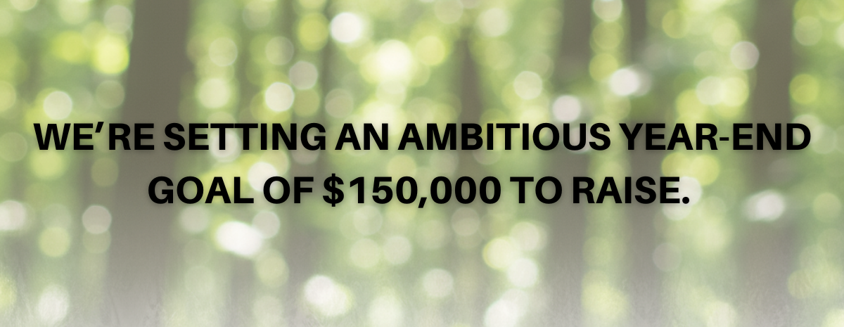 Ambitious Year-End Goal of $150,000